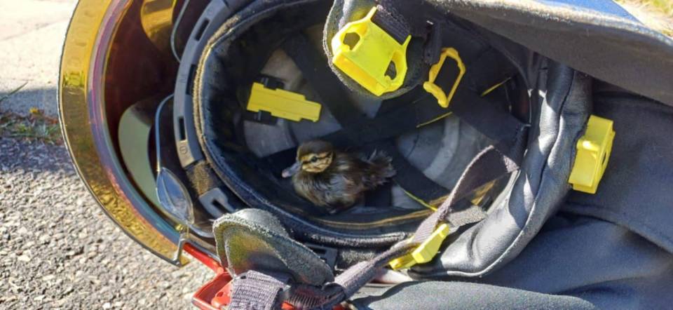 514234810_1148175604009340_6716103570899941122__20250701-095700_1