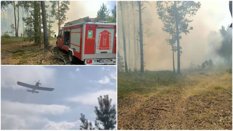 Pożar lasu w gminie Kluki: Wielogodzinna walka z żywiołem, w akcji samolot i 10 jednostek straży pożarnej [Wideo, foto]