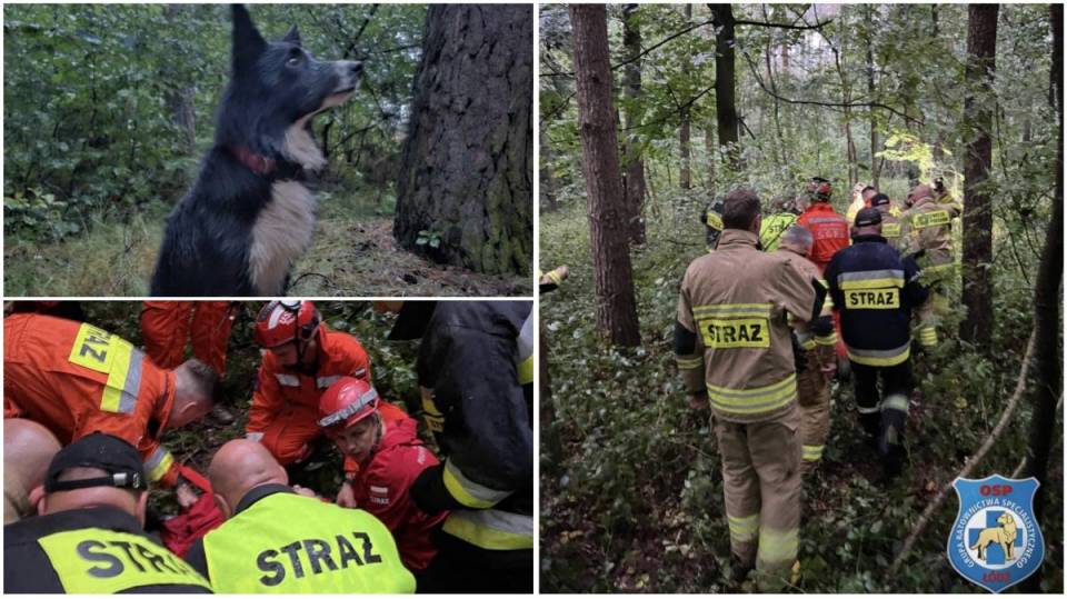 Ogromna akcja poszukiwawcza z sukcesem. Pani Leokadia odnaleziona! Bohaterem pies Fresh i jego przewodnicy z GRS OSP Łódź- Jędrzejów [Foto]