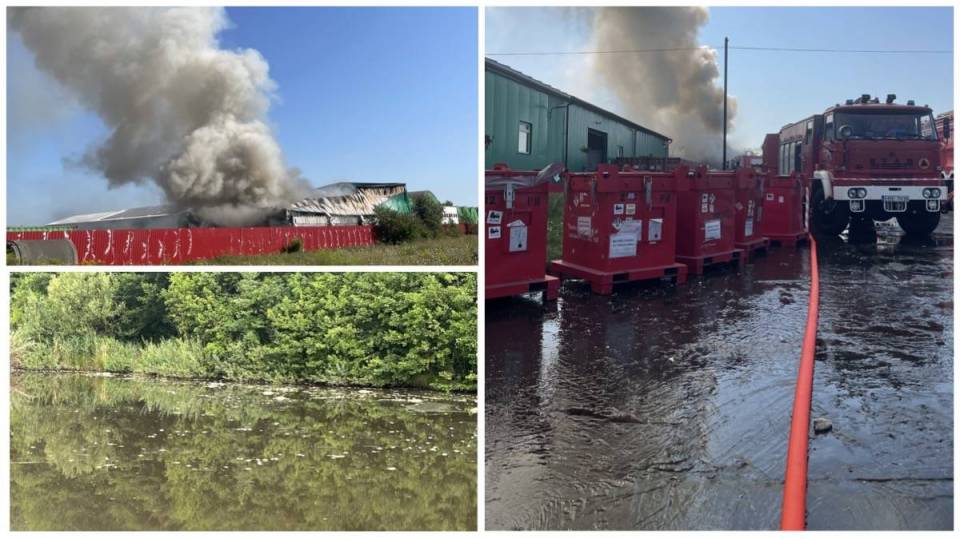 Śnięte ryby w zbiorniku retencyjnym: Czy to efekt spływania wód popożarowych z gaszenia hali w Bogumiłowie? Trwają badania służb