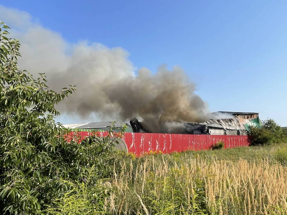 IMG_732_20250901-101950_1