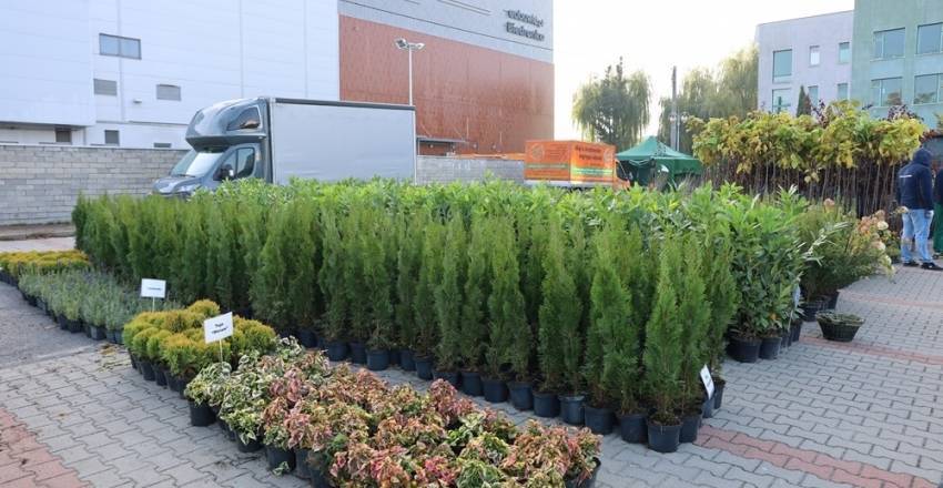 glowne-1728729663-1757941401