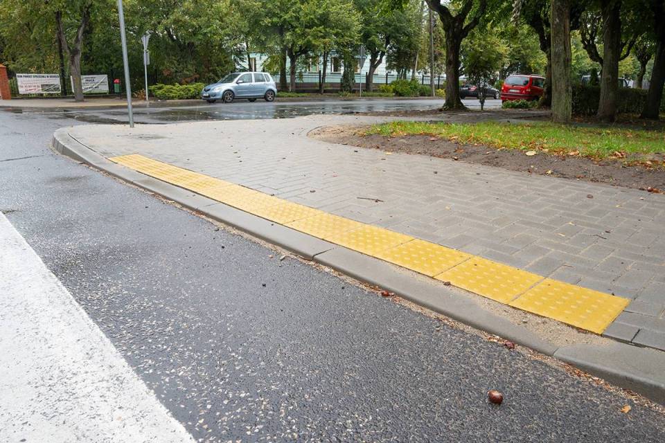 DSC0193_20251006-201124_1