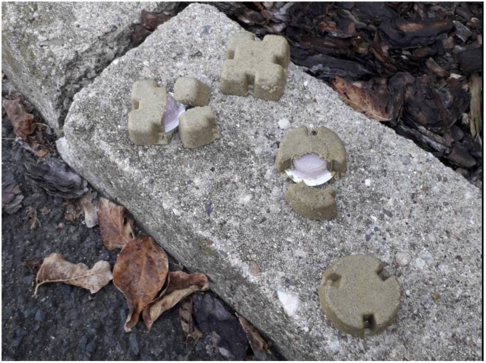 szczepionka_20251009-114930_1